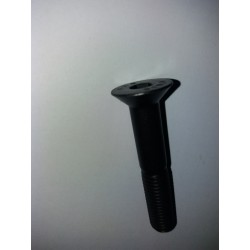 SURUB M12X70 CU CAP INECAT...