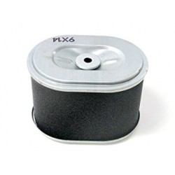 FILTRU AER GX160,GX200 2736098